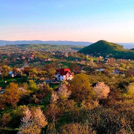 Casa Comilor Bed & Breakfast Surdesti  Eksteriør bilde