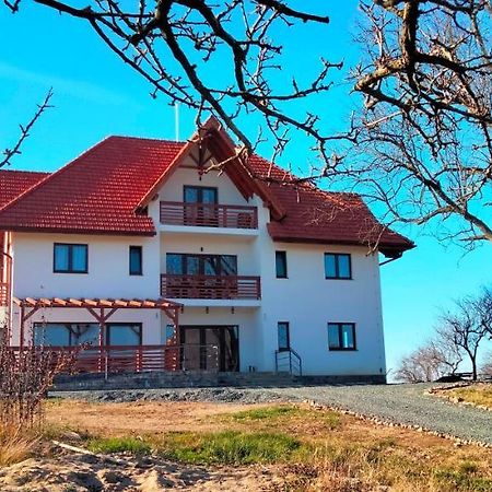 Casa Comilor Bed & Breakfast Surdesti  Eksteriør bilde