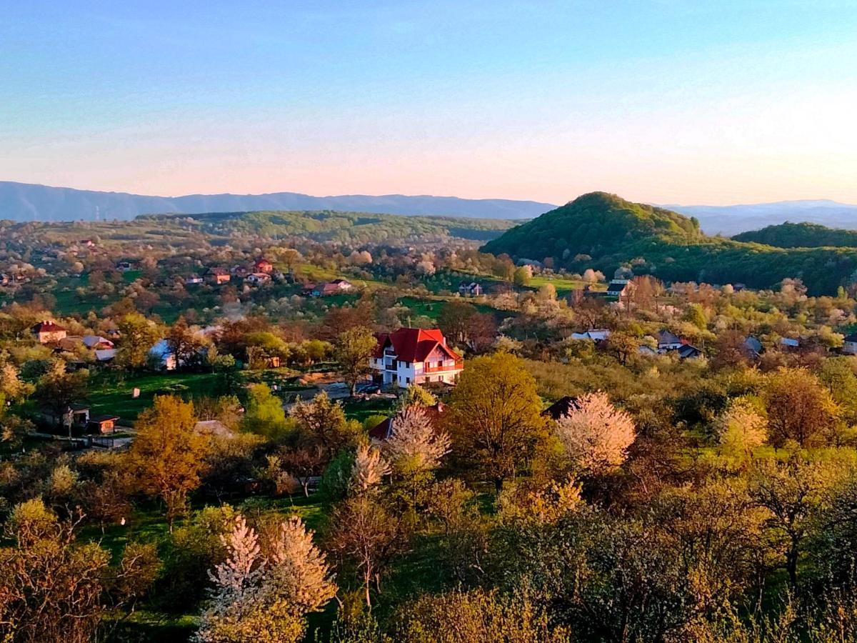 Casa Comilor Bed & Breakfast Surdesti  Eksteriør bilde