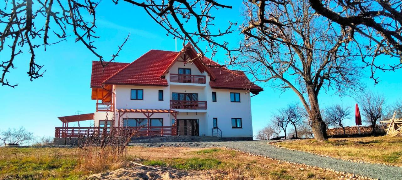 Casa Comilor Bed & Breakfast Surdesti  Eksteriør bilde
