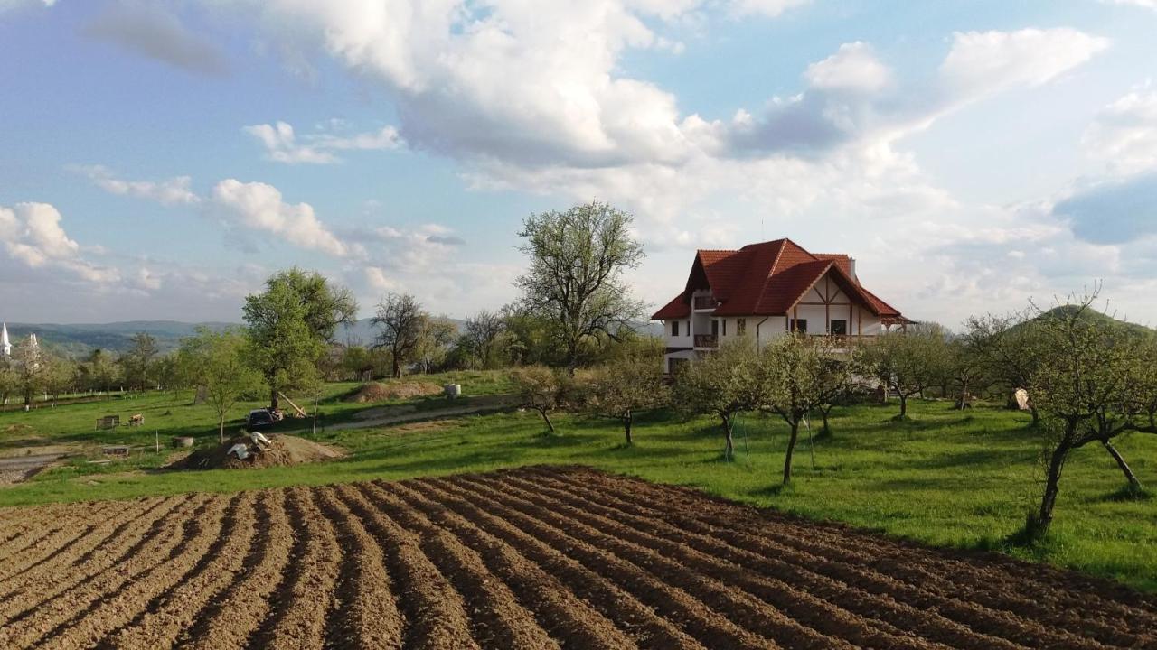 Casa Comilor Bed & Breakfast Surdesti  Eksteriør bilde