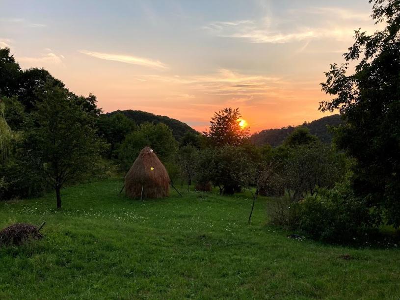 Casa Comilor Bed & Breakfast Surdesti  Eksteriør bilde